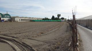 Finca rústica a Playa de Granada. Finca de cultivo en la peregrina con 8 marjales y fácil acceso