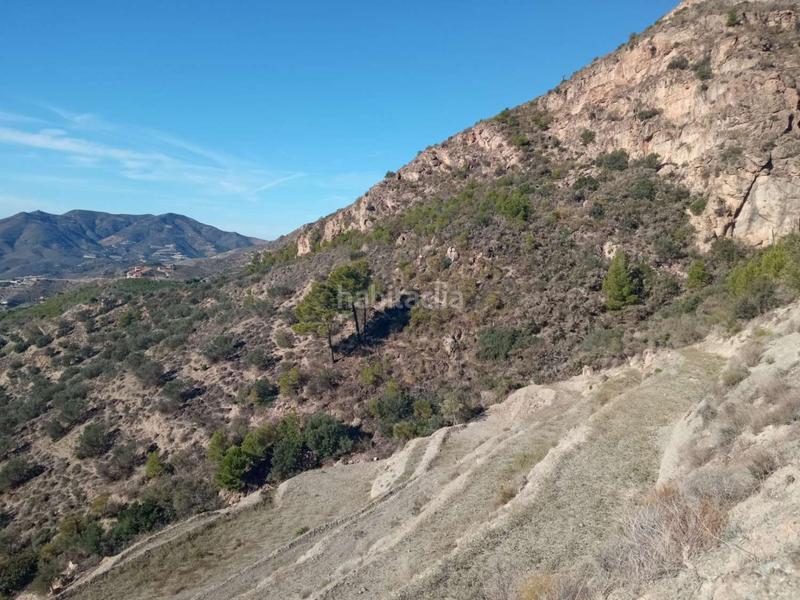 Foto bda1be0e-4d8e-42b3-b9ff-ebccea81febc. Residential plot in Molvízar