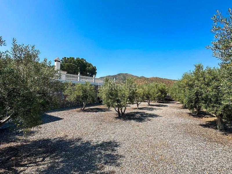 Foto 2458aa85-569a-4ef3-925a-18522cd05d99. Chalet en Ítrabo