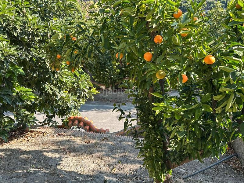 Foto 6a0b4cb1-495d-41e8-ae85-a792020eea89. Masía en Guájares (Los)