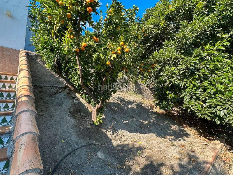 Foto a7f2dd54-8dca-4e11-8f86-a226390ec38b. Masía en Guájares (Los)