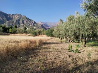 Terrain résidentiel à Nigüelas