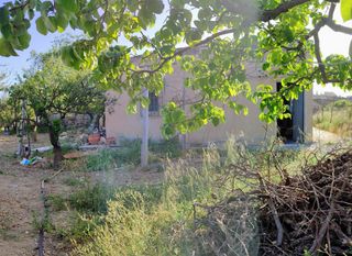 Maison à Olula del Río. Venta en olula del río. finca con casita ,con chimenea y balsa d