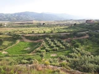 Masia  Paraje los molinos. Cortijo con terreno a reformar en urrácal,  almería