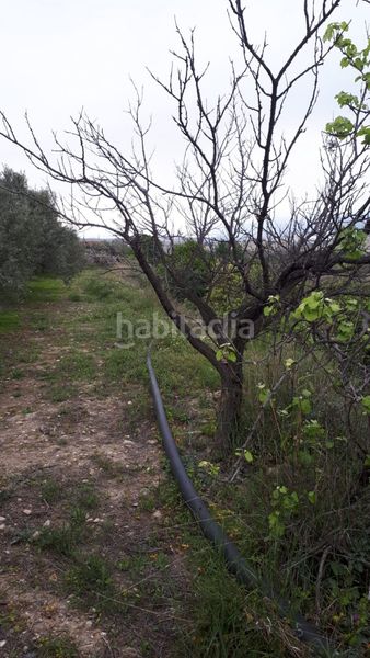 Foto 83a496ce-fafb-4820-ba41-55cc7d979b79. Masia amb aparcament a Cantoria