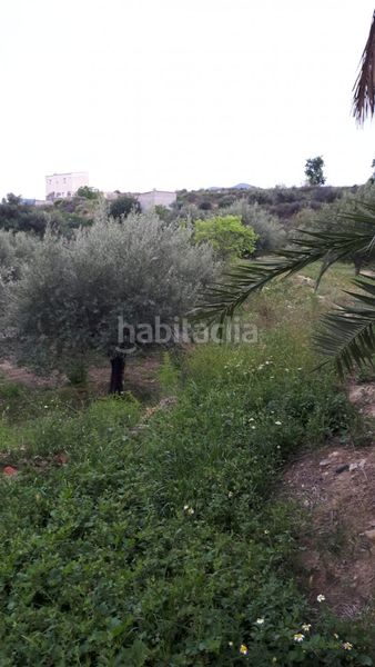 Foto ba248d23-f873-49b9-a036-1805d969ce4a. Masia amb aparcament a Cantoria