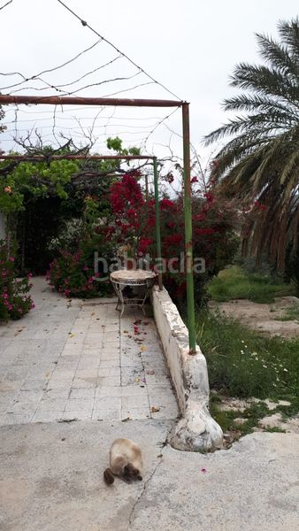 Foto deba975d-d387-41e3-a801-4d1611493725. Masia amb aparcament a Cantoria