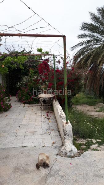 Foto deba975d-d387-41e3-a801-4d1611493725. Mas avec parking dans Cantoria