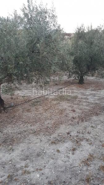 Foto 0586a69e-6019-4f3e-8a21-b5951ecaacd5. Terreno residencial terreno urbanizable en cela almería, en Tíjola