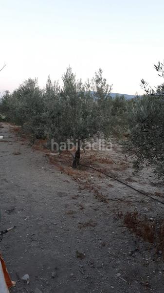 Foto dea3dd3a-2bbf-4e35-b6fa-a39fdd1232ef. Terreno residencial terreno urbanizable en cela almería, en Tíjola