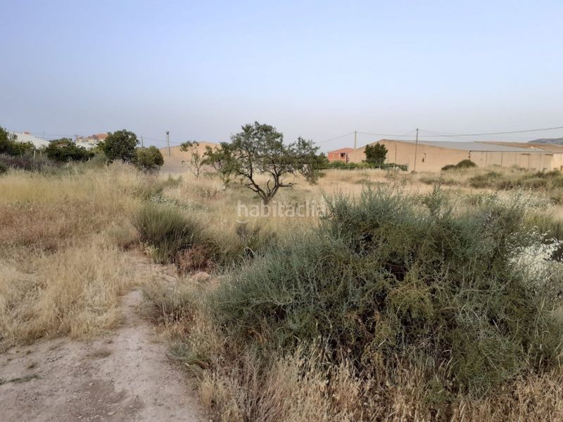 Foto c0947b3a-5892-4c02-a9bd-c1bfef0dc1ae. Terreny residencial a Olula del Río