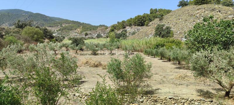 Foto 5bc2778b-ab4d-43c5-8dec-d39cf490bdb6. Casa amb calefacció aparcament a Purchena