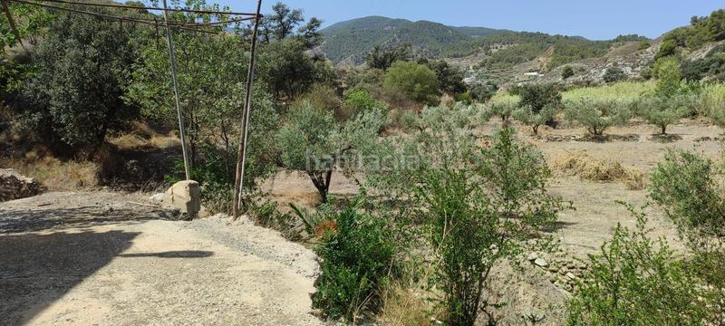 Foto 981e17f4-d5e6-4804-a45d-5a0fea554dad. Casa amb calefacció aparcament a Purchena