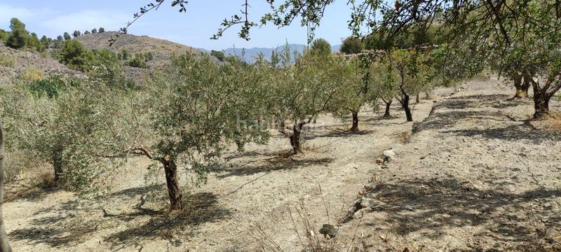 Foto b8bff887-9558-43b1-89f3-911d68a5bf15. Casa amb calefacció aparcament a Purchena