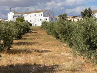 Masia a Alcóntar. Alcóntar  el hijate de almería .parcela con vivienda
