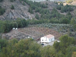 Masia a Purchena. Casa de campo de nueva construcción con 8.000 m2 de terreno en p