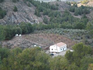 Masia a Purchena. Casa de una planta con terreno de  8.000 m2 en purchena.  almerí