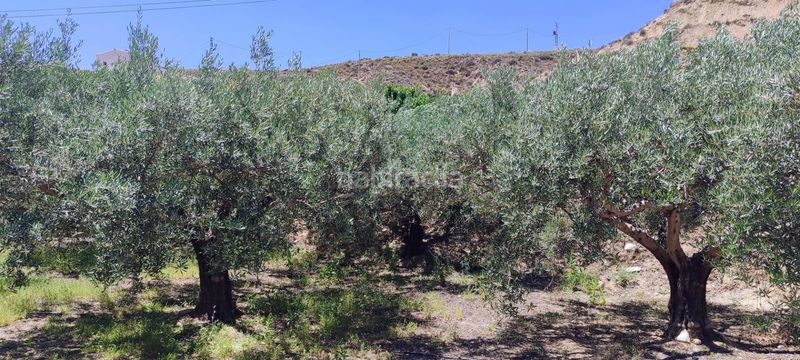 Foto ee529782-e718-4dfe-bc9e-9cb7e557b878. Masia amb aparcament piscina a Fines