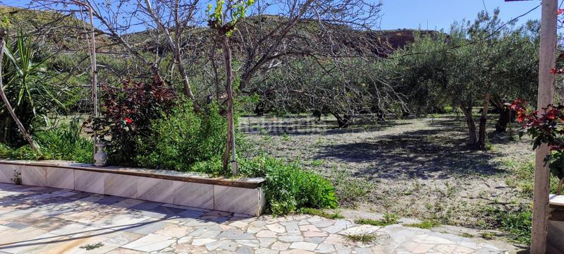 Foto 4dc03b38-1329-474d-a069-ede7f4b09ef4. Masia a Purchena