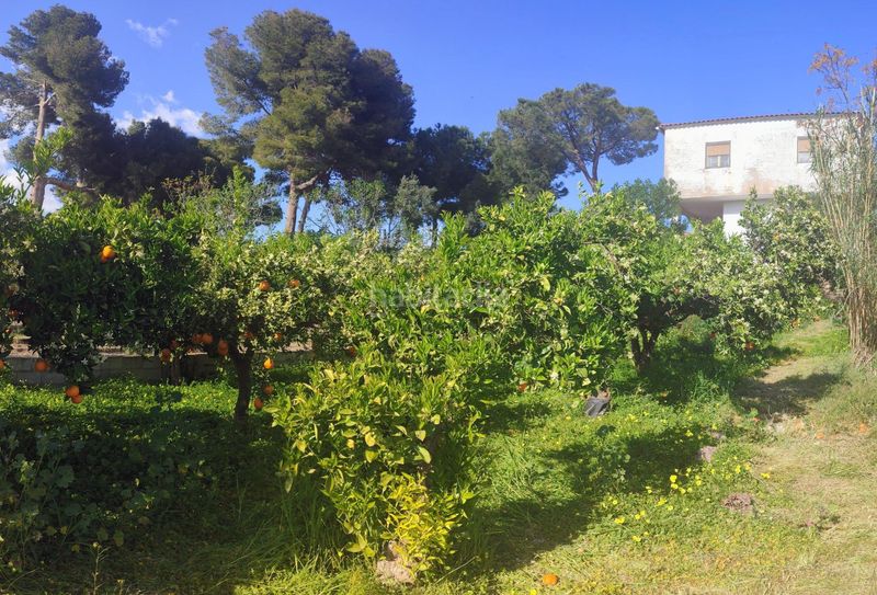 Foto a75d1513-a1ac-4047-b746-01a6209562cb. Xalet amb aparcament a Fines