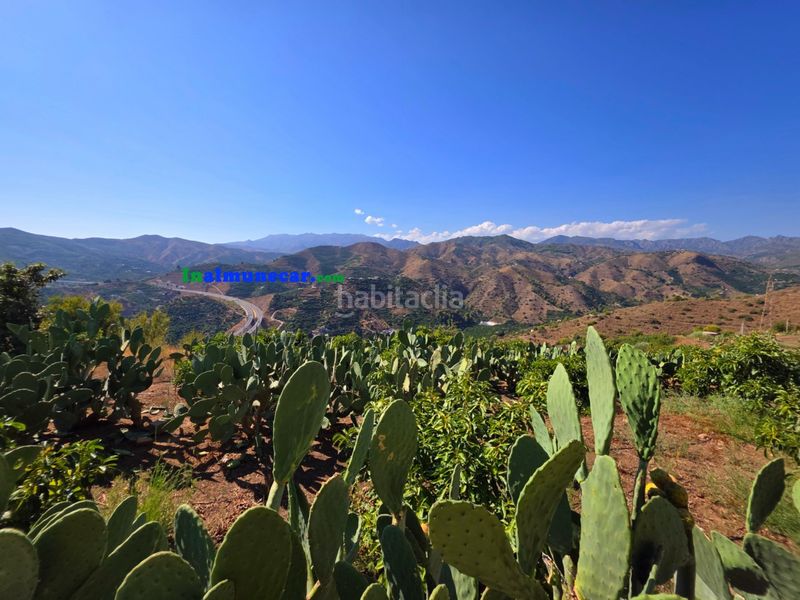 Foto 15397d58-b6b6-4355-8c01-74a2c38c5f3f. Terreny residencial a Torrecuevas - Lomas del Gato Almuñécar