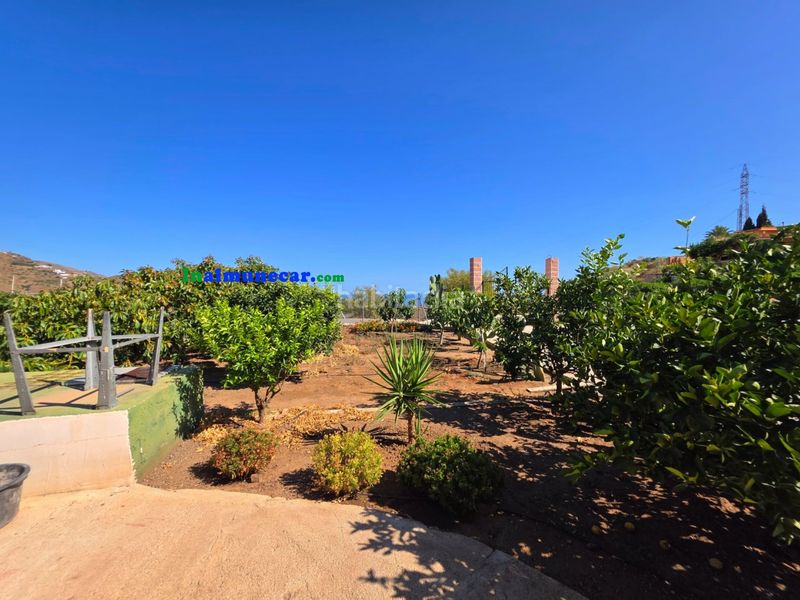 Foto c7bfe4d5-1cdf-41dd-8bd4-070629c658d8. Terreny residencial a Torrecuevas - Lomas del Gato Almuñécar