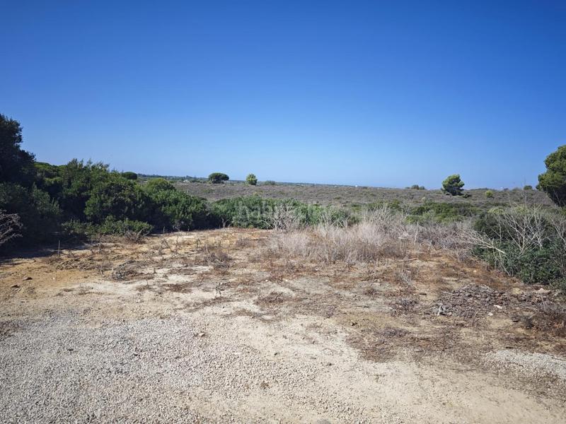 Foto 0ef1b9b4-7351-4748-bb2f-702a6b38d222. Finca rústica a Las Lagunas - Campano Chiclana de la Frontera