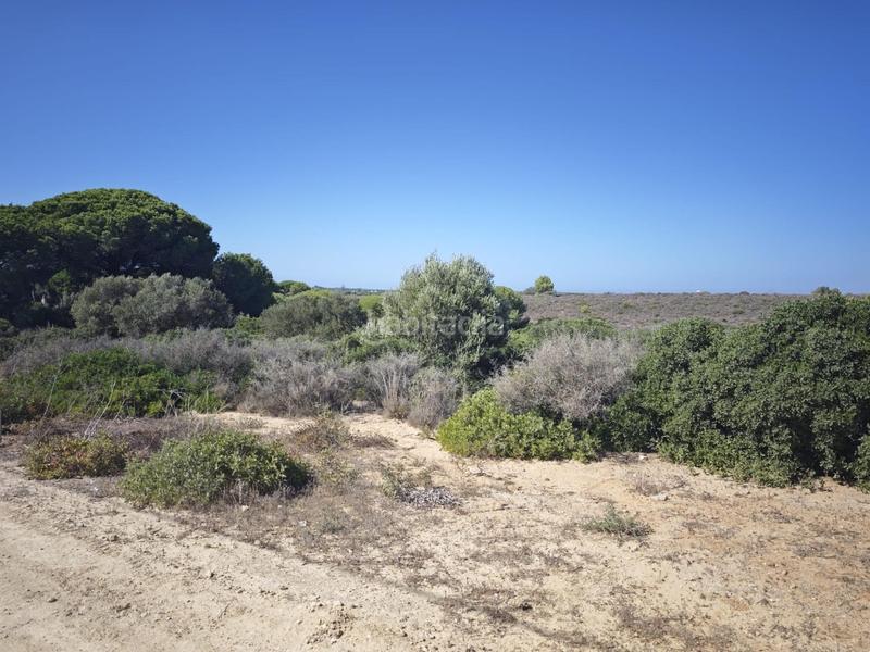 Foto 7e3c5efe-29c6-4d37-9662-55ba2d5ae6cf. Finca rústica a Las Lagunas - Campano Chiclana de la Frontera