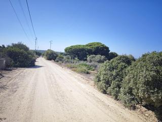 Finca rústica a Las Lagunas - Campano. Parcela segregada de 2500 metros en la espartosa.