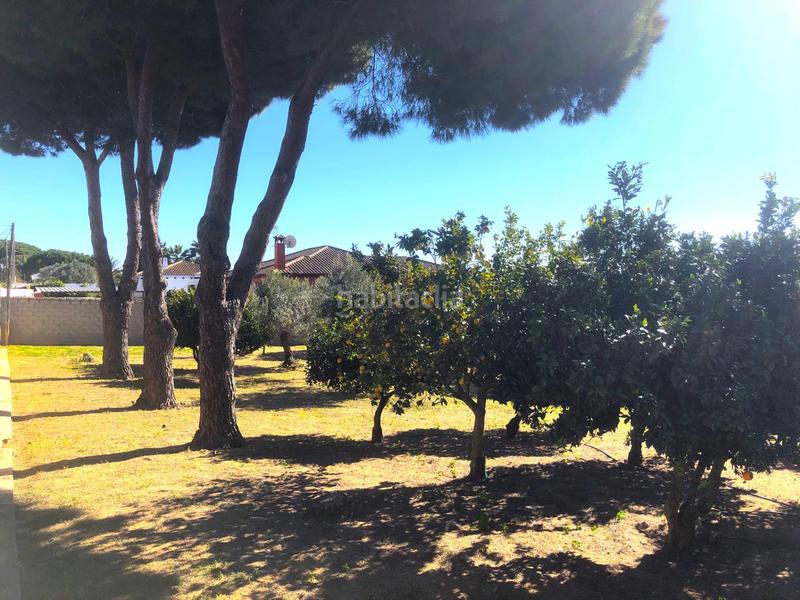 Foto 0dbba2d2-5629-4da2-a40f-b7d0826814fb. Chalet  con 2 viviendas, piscina y amplio garaje cerrado en Chiclana de la Frontera