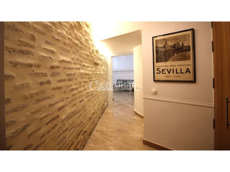 Foto 0e260821-afc6-4ce9-af89-00cfb6c58736. Location studio dans San Bartolomé Sevilla