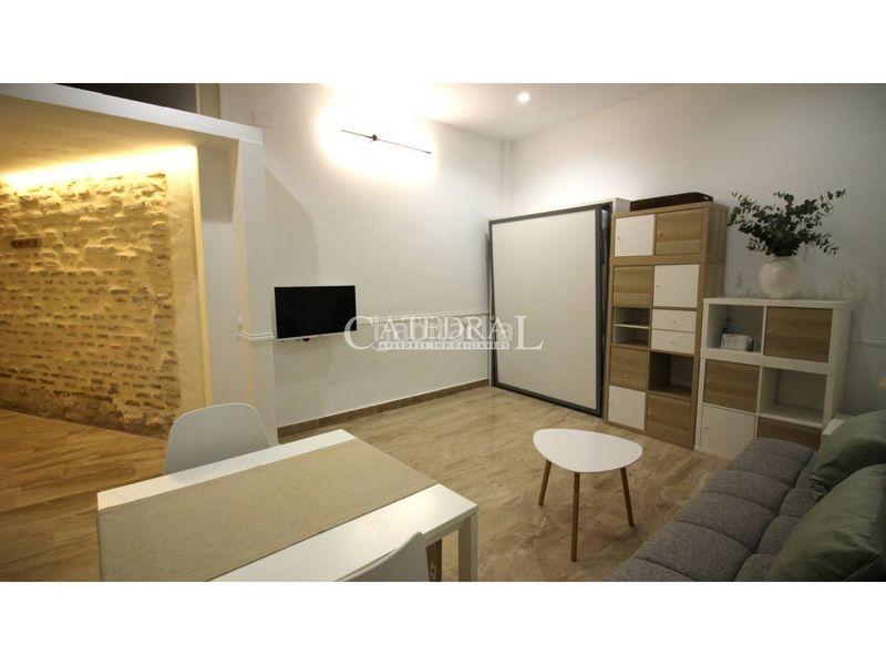 Foto 23a9715d-4000-449f-bca3-fbd3c5c51e7c. Location studio dans San Bartolomé Sevilla