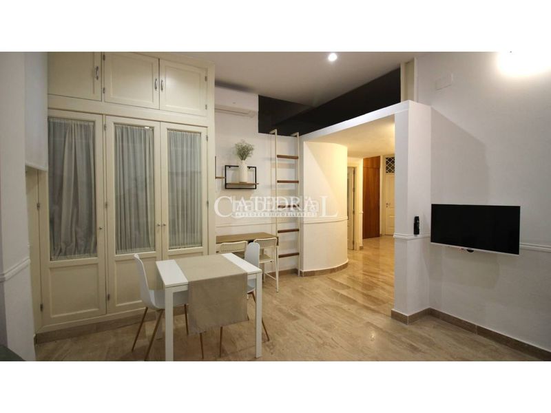 Foto aa1350e7-6d9e-4b9f-a9e1-9c3a2f66ec17. Location studio dans San Bartolomé Sevilla