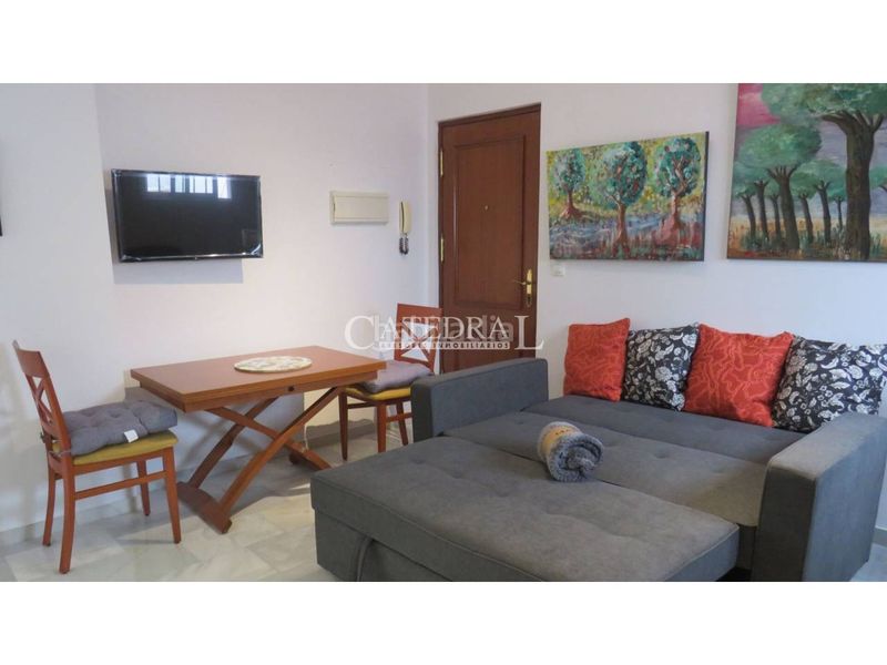 Foto 029768dc-ea07-4855-828a-2b7c11a0633d. Lloguer apartament amb calefacció a Los Remedios Sevilla