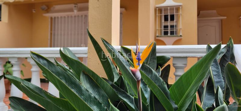 Foto 780633b4-f590-43f3-973e-bd4140d711df. Lloguer casa adossada amb xemeneia calefacció aparcament a Málaga