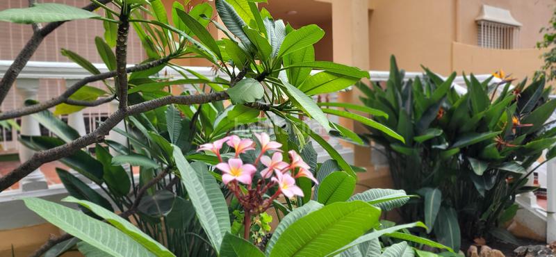 Foto 4c17579e-2ffa-473e-bdfc-de29982a54e0. Rent semi detached house with fireplace heating parking in Málaga