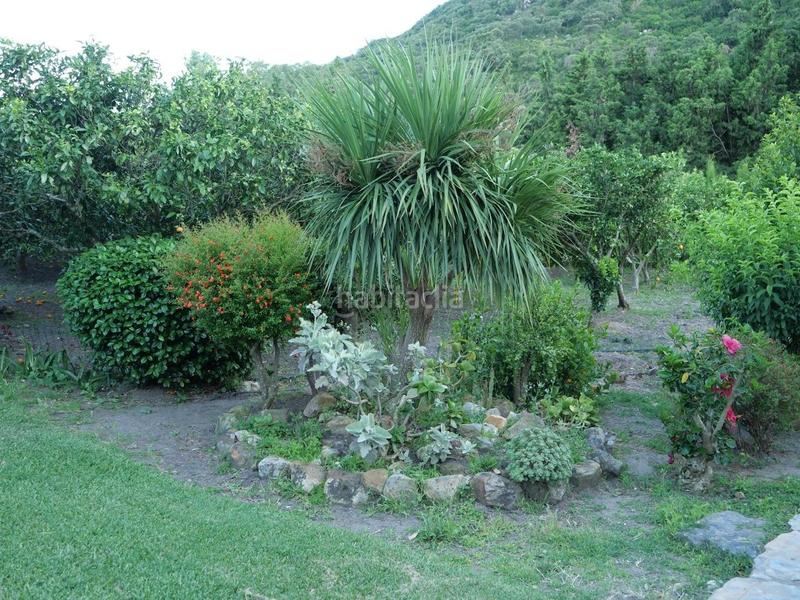 Foto 69fae73c-8440-4bb4-8c09-f97adbef1538. Xalet amb piscina a Barrios (Los)