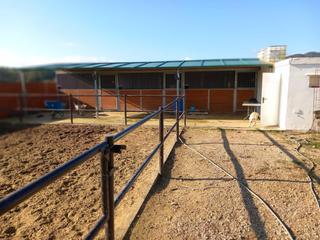 Finca rstica en Jimena de la Frontera. Parcela en marchenilla  jimena de la frontera