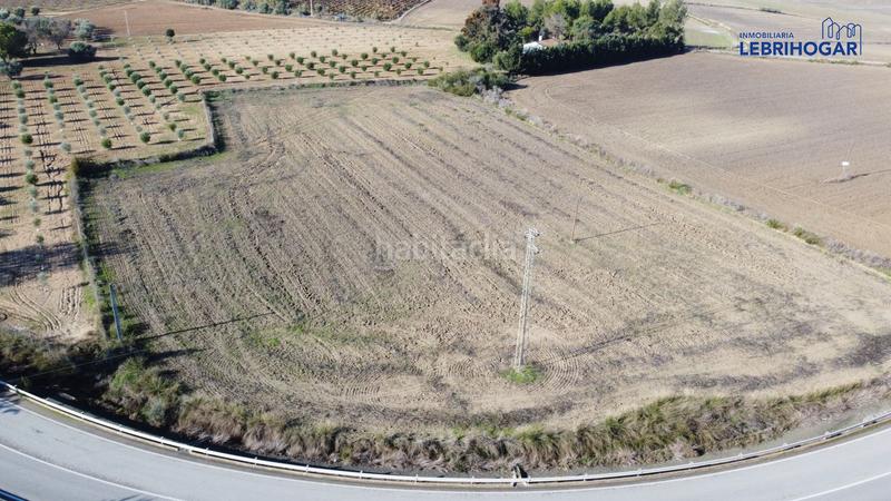 Foto 5170a753-1c79-46e1-aced-cc81a9f0add3. Masía finca rúst. en venta en crta. los tollos. en Lebrija