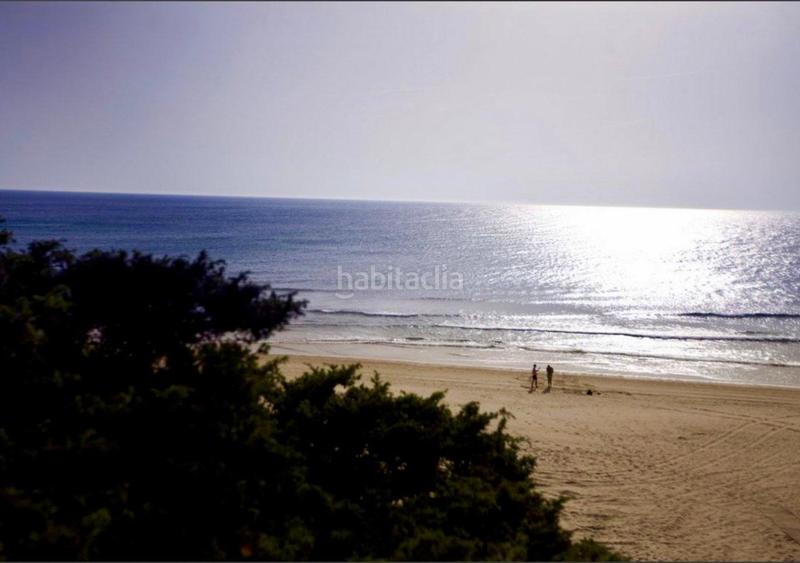 Foto 850d0e8d-9d1f-405e-b954-7f1bd47b0dec. Appartement mit parking pool in Novo Sancti Petri Chiclana de la Frontera