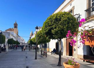 Maison à Medina - Sidonia. Increíble casa típica andaluza en medina sidonia