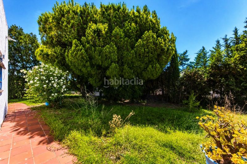 Foto 663d4f43-2bbb-4139-9839-42fb0babbe46. Xalet amb aparcament piscina a Las Lagunas - Campano Chiclana de la Frontera