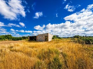 Finca rústica a Pelagatos - Pago del Humo. Parcela rustica de 17000 m2 en el pago del humo