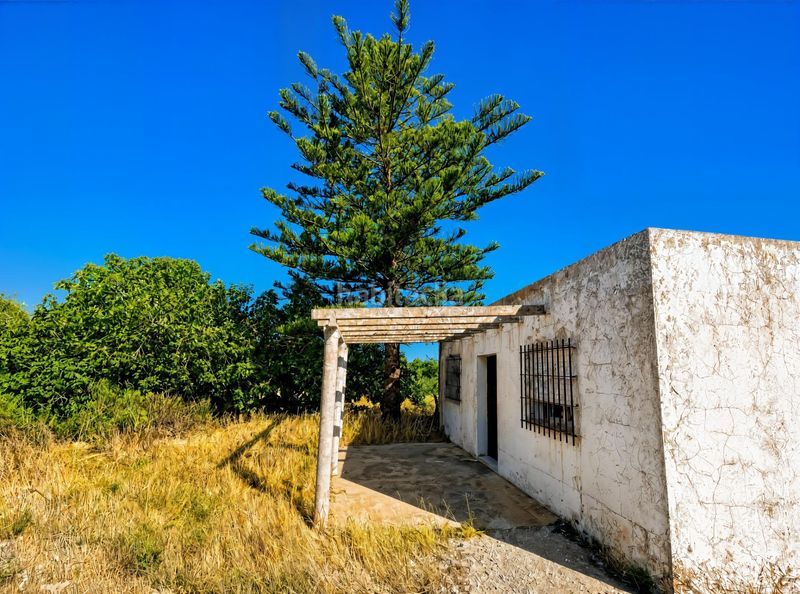 Foto c23e87bd-e2e2-4954-a986-9d8b9e34175f. Finca rústica a Pelagatos - Pago del Humo Chiclana de la Frontera