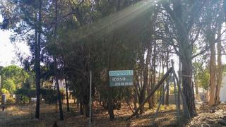 Terrain résidentiel  ???????? ??? ? ? ??. Parcela para construir en urb  las plameritas. ubicada a 2.5  km
