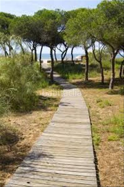 Foto f65f11dd-5de0-4d78-b347-45a9d6f8927b. Masía casa de una sola planta con patio y azotea propia , reforma actual a 600mts de la playa en Isla Cristina