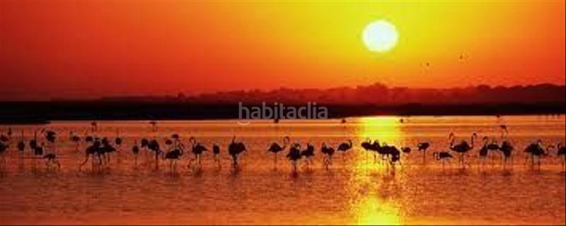 Foto d37f21cd-b448-4e00-950b-9bcc2d187e59. Appartement dans Isla Cristina