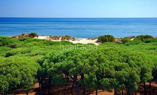 Foto e14e83bd-e341-4161-a1c4-8b71ab3e0ea9. Masia a Isla Cristina
