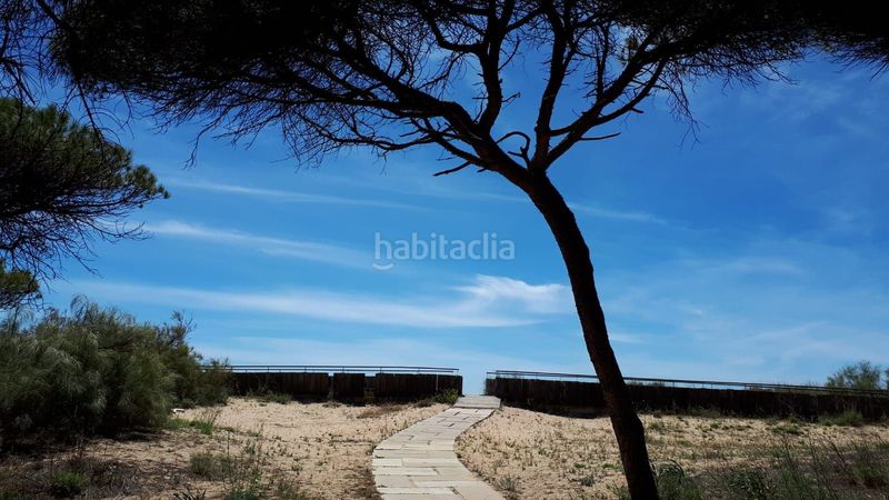 Foto e6c44bae-c26d-45cf-ac8d-4adc1987d041. Pis a Isla Cristina