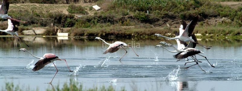 Foto 3a94b288-ec55-4066-a0cd-fb6d4f9beb12. Casa adosada adosado en urbanización privada con terraza y piscina, a 200 metros de playa central en Isla Cristina